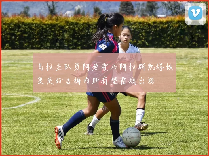 乌拉圭队员阿劳霍和阿拉斯凯塔恢复良好吉梅内斯有望首战出场